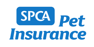 Pet Insurance NZ | Compare pet insurance providers with Canstar